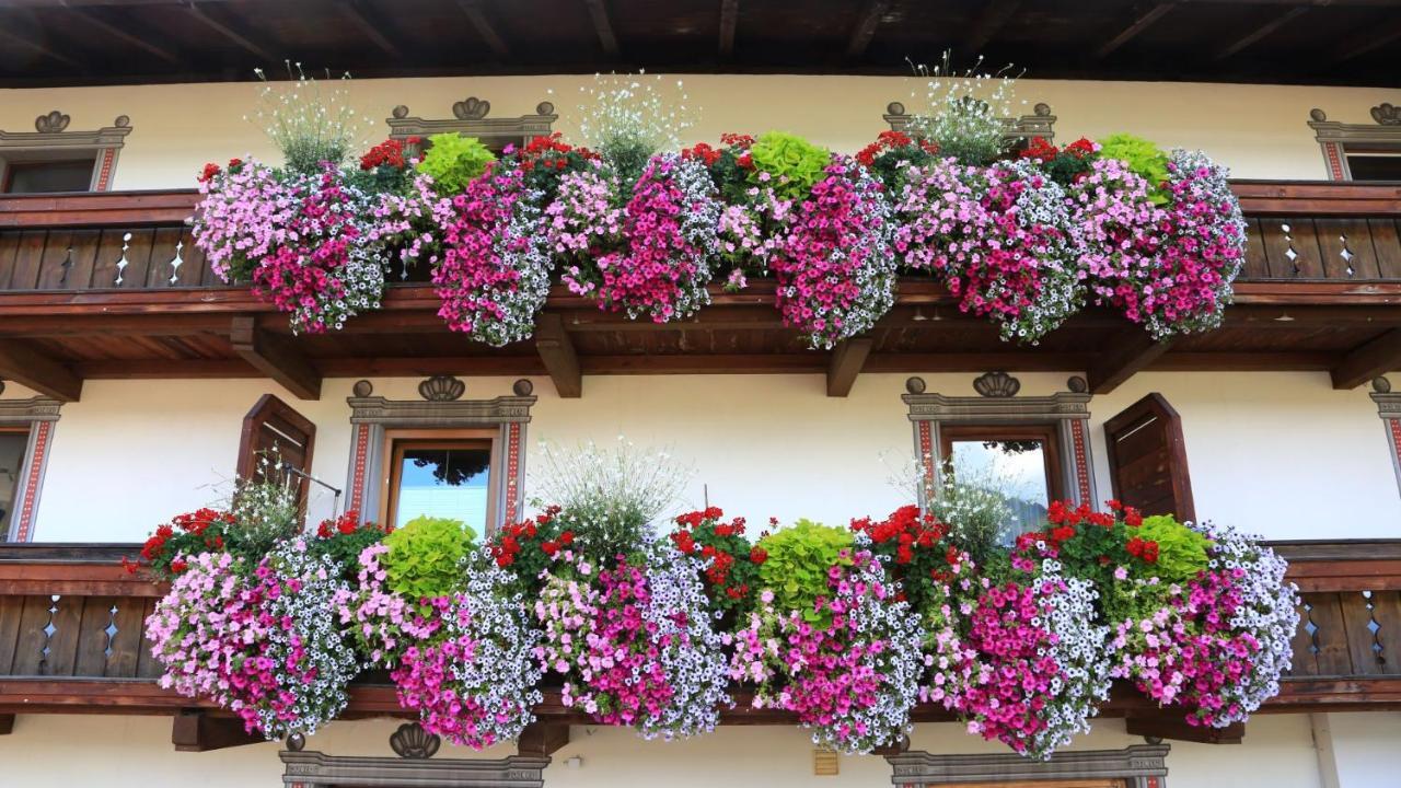 Apartment Edith Telfes im Stubai Exterior foto